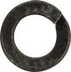 B5 Spring Washer, Black Zinc Plated