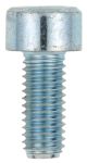 M5x12 Allen Screw 8.8, zinc-coated