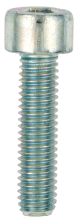 M5x20 Allen Screw 8.8, zinc-coated