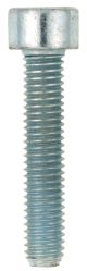 M5x25 Allen Screw 8.8, zinc-coated