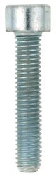 M5x25 Allen Screw 8.8, zinc-coated