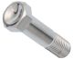 Screw for Absorber Mount, Top/Bottom (Chrome Plated), 1 Piece (OEM)