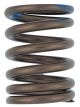 Valve Spring, Outer, 1 Piece