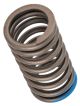 Valve Spring, Inner, 1 Piece