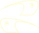 KEDO Classic Fuel Tank Decal, creme, Left/Right complete