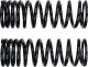 YSS Replacement/Tuning Spring for Rear Shocks, 1 pair, black, recommended for load/driver's weight 70-95kg (Vehicle Type Approval)
