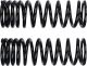 YSS Replacement/Tuning Spring for Rear Shocks, 1 pair, black, recommended for load/driver's weight 95kg and up (Vehicle Type Approval)