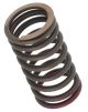 Valve Spring, Inner, 1 Piece (OEM)