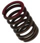 Valve Spring, Outer, 1 Piece (OEM)