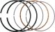 Piston Ring Set, 2nd Oversize (+1.00/96.00mm)(OEM)