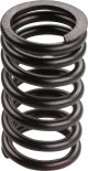 Valve Spring, Inner, 1 Piece