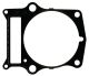 Cylinder Base Gasket