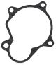 Gasket Starter Cover (OEM)