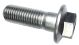 Fixing Screw for Brake Caliper, drilled, 1 Piece