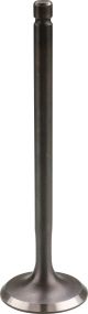 Valve, Intake, 1 Piece