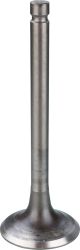 Exhaust Valve, 1 piece (OEM, alternatively see item 91373)