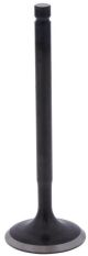 Intake Valve