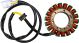 Generator Stator with Ready-To-Mount Wiring Loom, incl. sealing rubber for generator housing