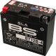 SLA Battery BS 12V / 10,5Ah maintenance-free filled, leak-proof due to SLA technology (without fleece, without gel) Type BT12B-4