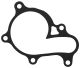 Gasket for Water Pump Cover (OEM)