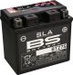 SLA Battery 12V / 6.3 Ah, maintenance-free filling, leak-proof due to SLA technology (without fleece, without gel) gel) Type BTZ7S