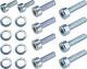 Fuel Petcock Bolt Set (Allen screws, zinc plated, suitable for SR500 petcocks equipped with two diaphragms, 18 Pcs.)