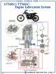 Vintage-Poster 'Oil Circuit TT/XT500C', Colour Print, approx. 50x70cm