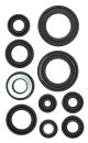 Engine Shaft Seals, Complete Kit, 10 Pieces