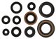 Engine Shaft Seals, Complete Kit, 10 Pieces