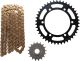 X-Ring Chain Kit 17/42 (114 Links) DID525ZVM-X2