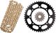 X-Ring Chain Kit 15/46 (110 Links) DID520VX3 gold