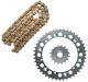 X-Ring Chain Kit DID 520VX3 G&B, 16T Front Sprocket, 44Z Rear Sprocket (Endless Chain with OEM Ratio 1:2.75, No Further Modifications Required)