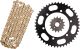 X-Ring Chain Kit 15/45 (110 Links) DID520VX3 gold