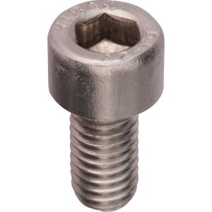 M6x10 Allen Screw A2 Stainless Steel