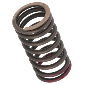 Valve Spring, Inner, 1 Piece (OEM)