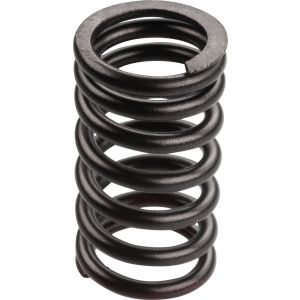 Valve Spring, Inner, 1 Piece