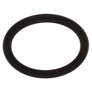O-Ring for Starter Shaft (Starter Shaft to Engine)