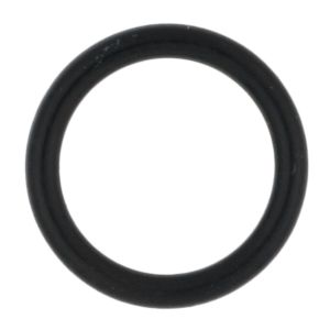 O-Ring for Throttle Valve Guide  (Required 2x)
