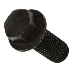 Screw for Passenger Footpeg Bracket, fine pitch thread