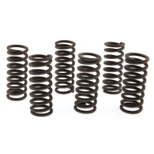 Clutch Springs 'Heavy Duty' (EBC)