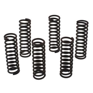 Clutch Springs, reinforced (EBC)