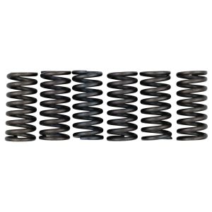 Clutch Springs 'Heavy Duty' (EBC)