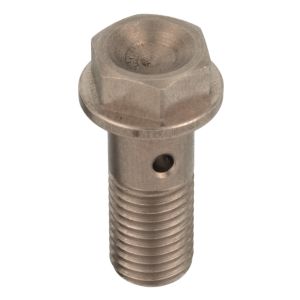 Banjo Screw M8x1 Stainless Steel