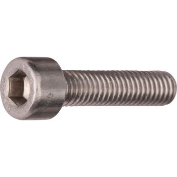 M6x25 Allen Screw A2 Stainless Steel