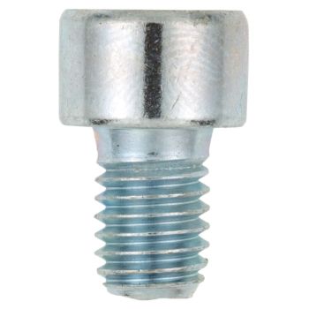 M8x12 Allen Screw 8.8, zinc-coated