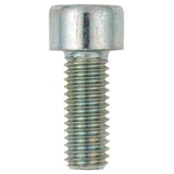 M8x20 Allen Screw 8.8, zinc-coated