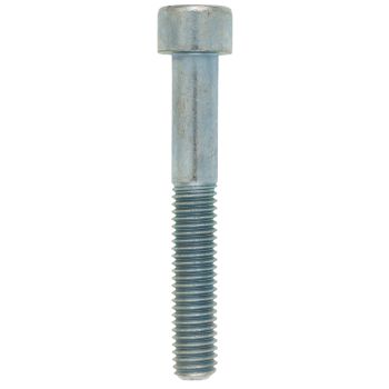 M8x55 Allen Screw 8.8, zinc-coated