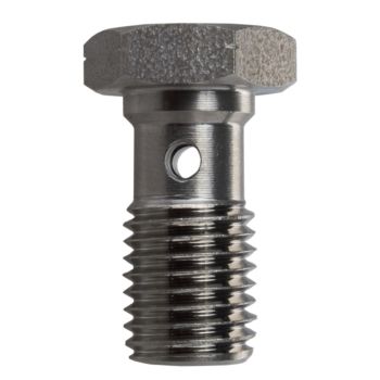 Banjo Bolt M10x1.25, Length 20mm, Stainless Steel