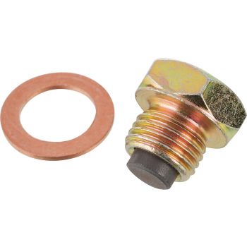 Oil Drain Plug, magnetic, M14x1.5/ A/F19mm incl. gasket, collects the metallic abrasion bound in the oil at the magnet