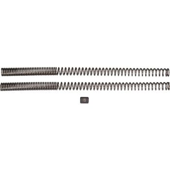 DAYTONA Lowering Front Fork Springs, -30mm, 1 Pair (Not Street Legal)